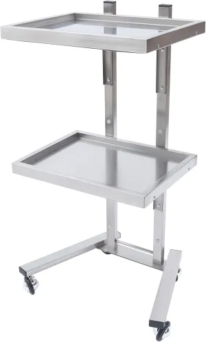 2 Tier Metal Rolling Cart,33.86 Inch Folding Tray Trolley,Stainless Steel Salon Storage Stand with Wheels,1.18 Inch Tray Height,for Salon Studios Shop (Silver)