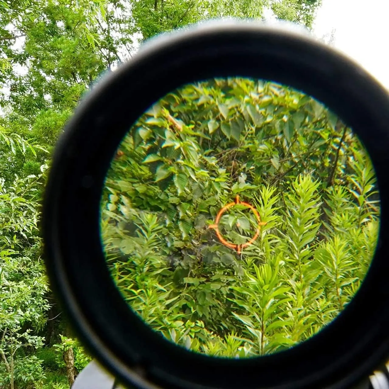 Holographic 558 Sights Red Green Dot Sight Scope with G33/G43/G45 3X/5X Magnifier Switch to Side Quick Detachable QD Mount