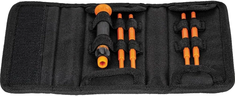 Klein Tools 32584INSR Precision 8-in-1 Screwdriver Set with Case, 1000V Rated Insulated Set with Phillips, Slotted and Tamperproof TORX Bits